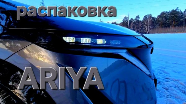 НеБанальнаяАрия Распаковка Nissan Ariya