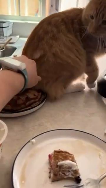 блинчики смотреть онлайн