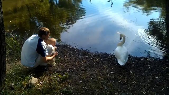 Парк Дубовая Роща смотреть онлайн