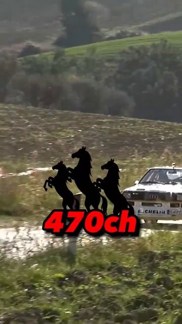 Voici l'Audi Quattro 🚀 #audi #audiquattro #groupb #rally #rallycar #automobile #fyp смотреть онлайн