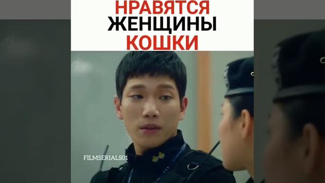 Нравятся женщины кошки смотреть онлайн