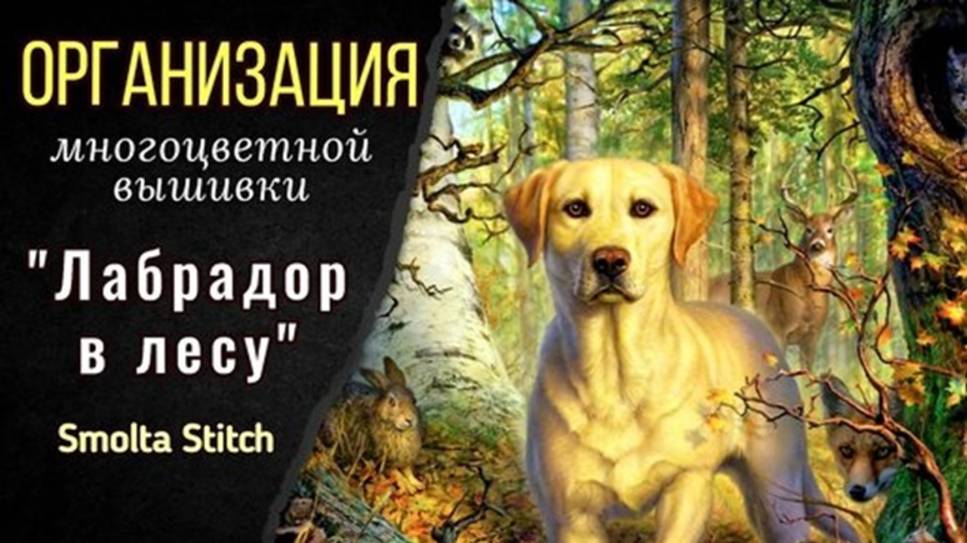 Как организовать многоцветную вышивку_ Лабрадор в лесу. Smolta Stitch смотреть онлайн