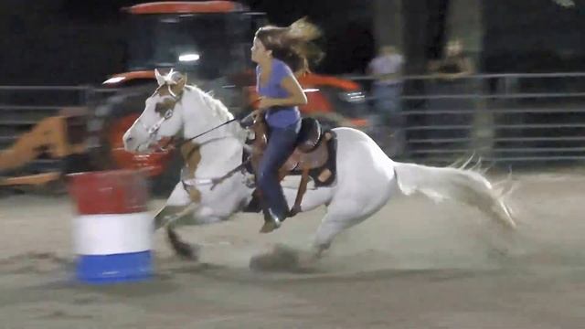 HD Bailey + Rebel  Open - NBHA FL09 - King Palm Ranch - 18 May 2013