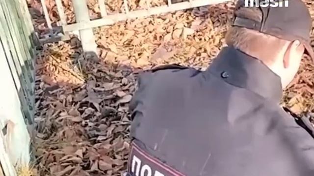 Раненого оленёнка нашли под забором смотреть онлайн