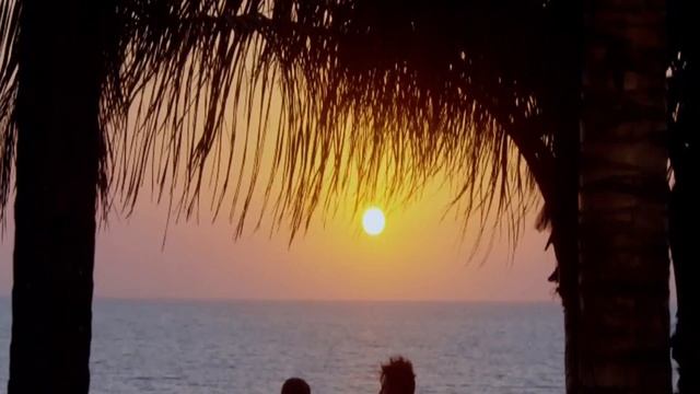 Aafat-e-jaan | Sonu Nigam | Salaam Mumbai | Full Video 2018 смотреть онлайн