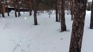 Мама заявила, что едет жить с дочерью в квартиру моей жены. Но квартира уже сдается в аренду