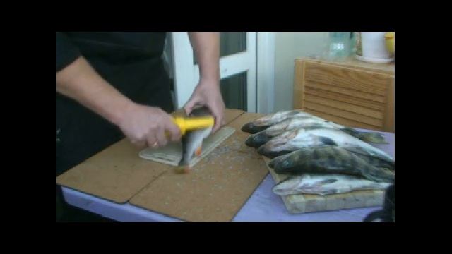 Oкунь.avi смотреть онлайн