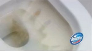 Реклама Domestos 2011 (2)