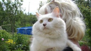 Боремся с клещами  на даче