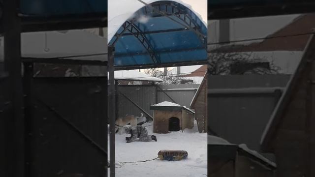 Зима холода Всё как будто изо льда. смотреть онлайн