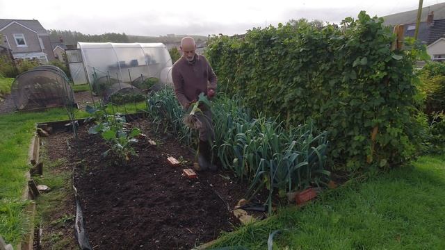 Experiments on the plot | Wind damage and Supports | Allotments For Fun and Food смотреть онлайн