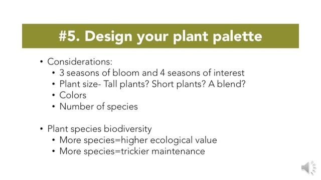 Plan and Design a Native Planting смотреть онлайн