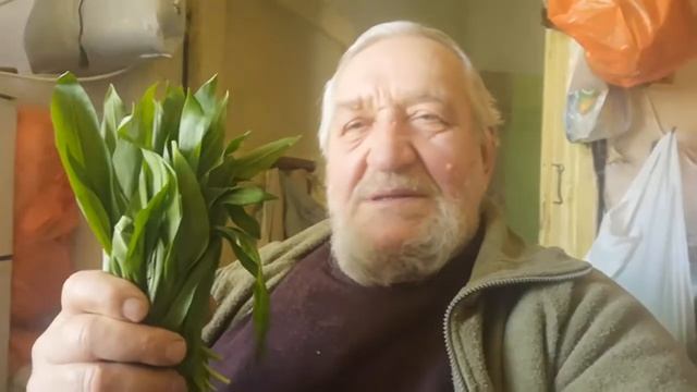 VIDEO 2020 GADA 6 APRĪLIS VESELĪGIE, LIELIE LAKŠI SALĀTIEM VID 20200406 142504 смотреть онлайн