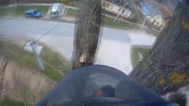 Japánakác ápolás és koronabiztosítás смотреть онлайн