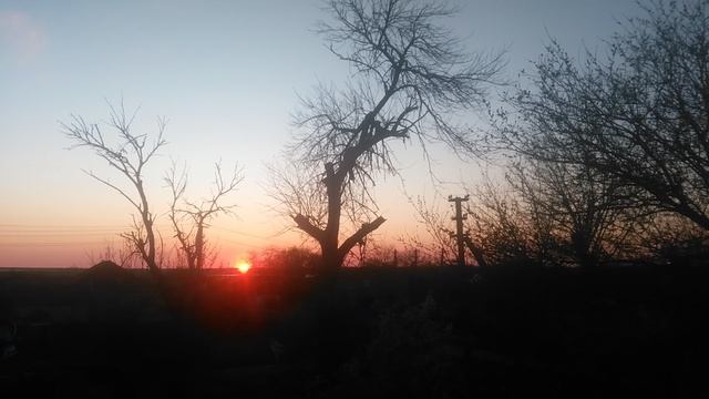 VID_20250414_190820.mp4