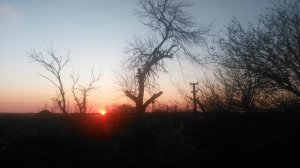 VID_20250414_190820.mp4