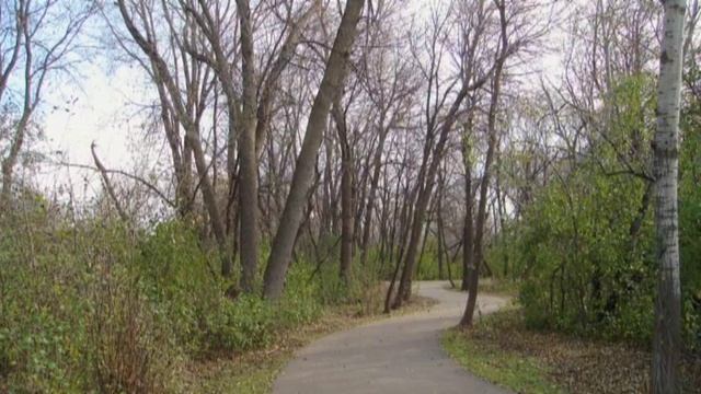 Buckthorn Removal смотреть онлайн