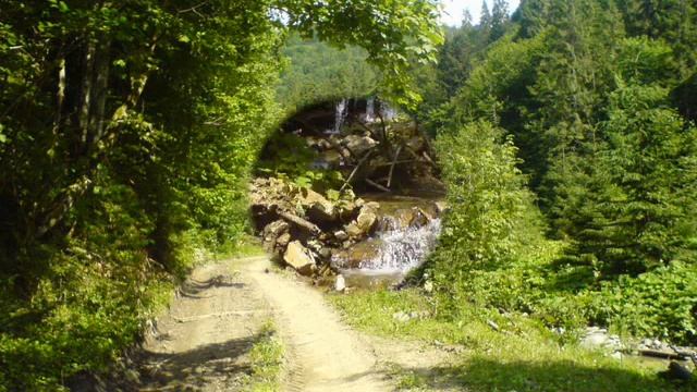 Моя кропива Село Зубриця Головське смотреть онлайн