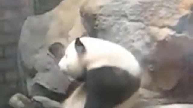 Впереди выходные, детка! смотреть онлайн