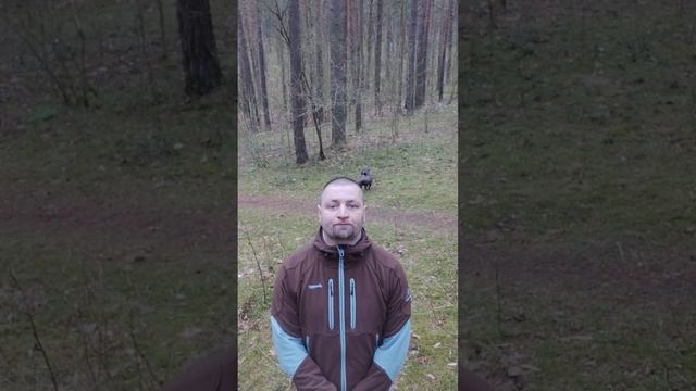 18.05 Межа Зиняс Шоу Голые и Дэн смотреть онлайн