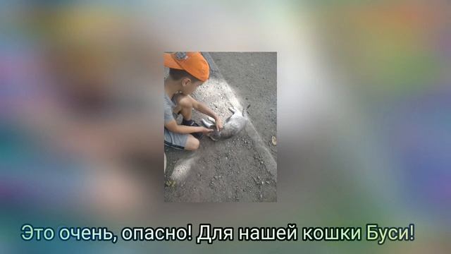 DJ Rafael - Наша кошка Буся [Remix] || RAFIKUS || YT смотреть онлайн