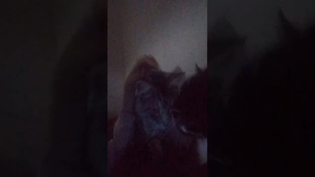 немо смотреть онлайн