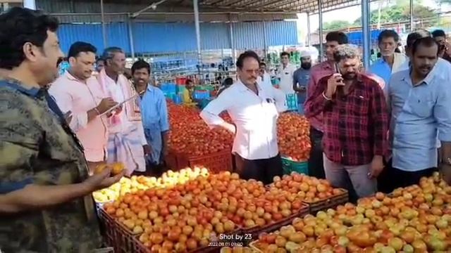 24-11-22 Madanapalle Tomato Market price Today || Today Tomato Market Rate in Madanapalle смотреть онлайн