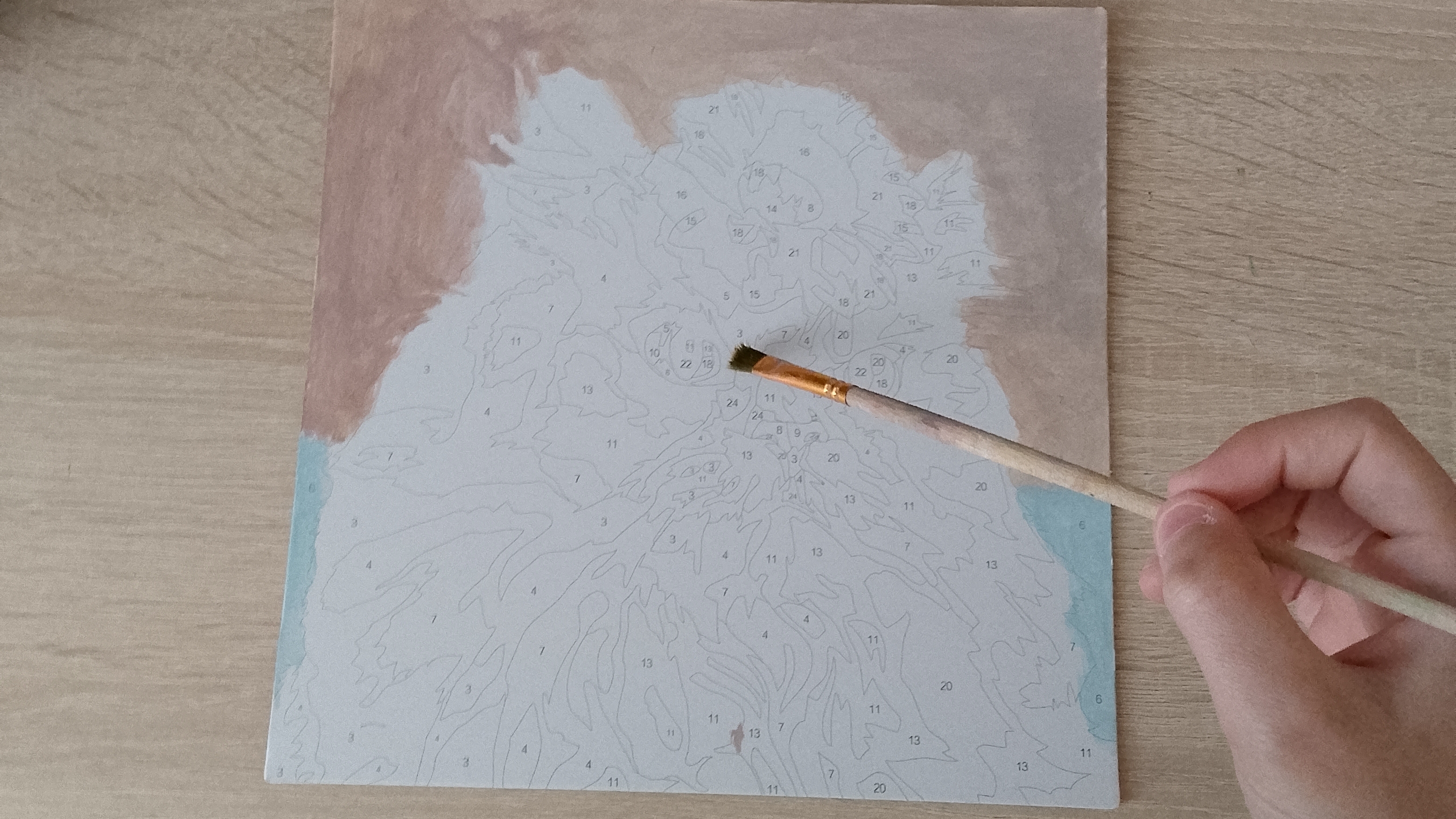 Live: Bella kid (Izabella) смотреть онлайн