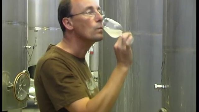 Neue Geschäftsidee: Sekt aus Bananen смотреть онлайн