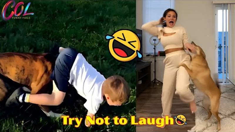 ТЫ СМЕЕШЬСЯ, ТЫ ПРОИГРАЛ 😂 Самые смешные провалы животных и людей 2025 года смотреть онлайн