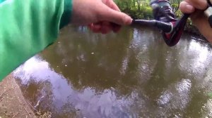 Как она там оказалась?