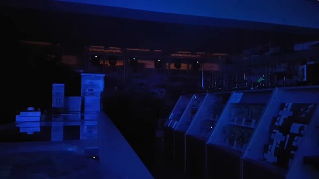 Showtec phantom 50 mk2 & light4me beam 36x3 led, simnet Iława moving head смотреть онлайн