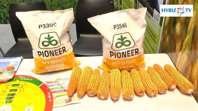 Pioneer seeds 8th National Seed Congress | Seeds exhibition | Hybiz TV смотреть онлайн