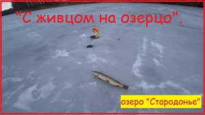 «С Живцом на озерцо», озеро «Стародоье».
