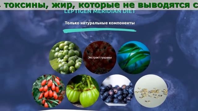 Лептиген Меридиан Диет Купить В Москве, СПБ, Владивостоке смотреть онлайн