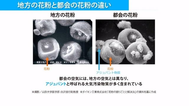 なぜ、都市部で花粉症にかかっている人の割合が高いのか？ смотреть онлайн