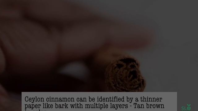 Cassia Vs. Ceylon Cinnamon What Are The Differences смотреть онлайн