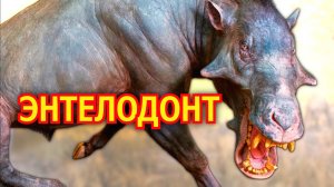 Энтелодонт | Адский кабан | Вымершее животное. Видео про животных