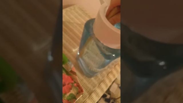 Neofinetia Falcata , Asian orchid, wind orchid смотреть онлайн