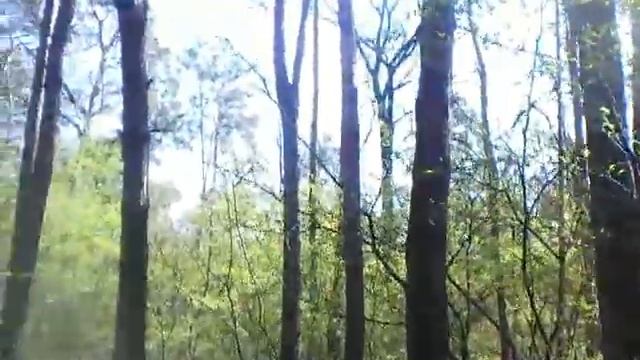 24 Apr 2020 Тюль папорl смотреть онлайн