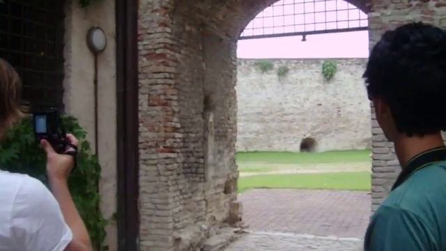 Castle Tour In Rimini