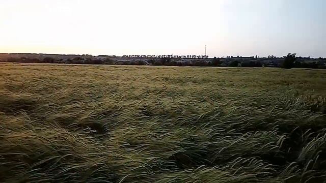 Ячмінь Адапт 2021рік смотреть онлайн