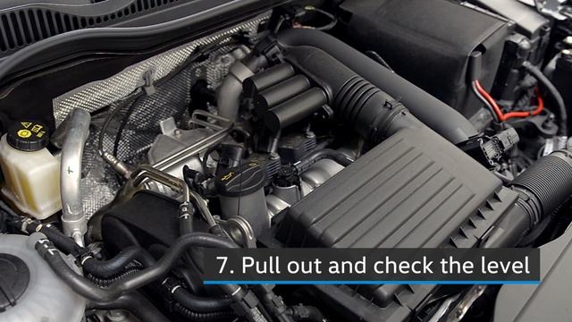 Volkswagen car tips - Engine oil check смотреть онлайн