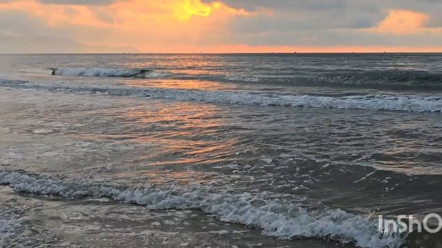 Новый рассвет! смотреть онлайн