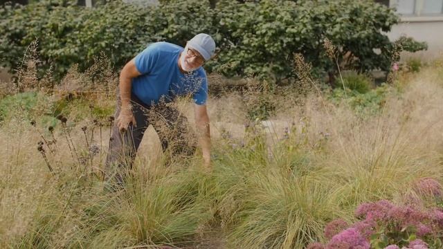 Ball Horticultural Company Episode #75 смотреть онлайн