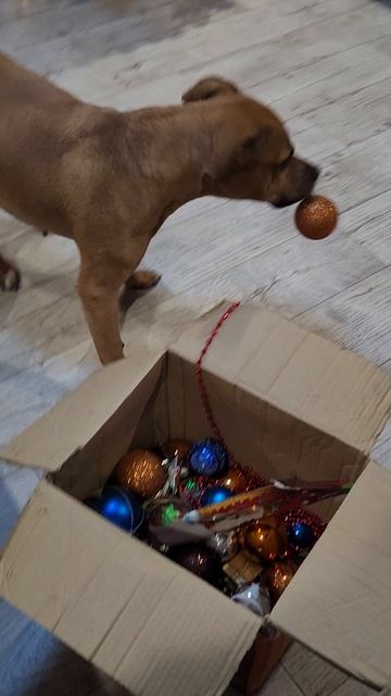 Боня и новый год смотреть онлайн