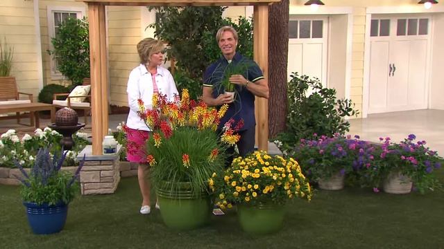 Cottage Farms 3-piece Everblooming Torch Lilies with Carolyn Gracie смотреть онлайн