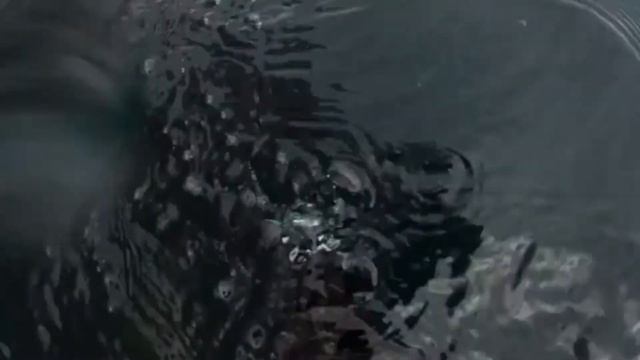 Leg 9, Day 7: Time for a dip 🏊🏼♂️ смотреть онлайн