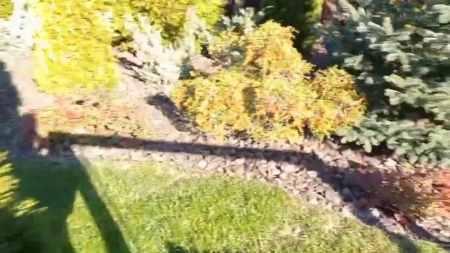Бассейн и сад в начале октября. Swimming pool and garden in early October. смотреть онлайн