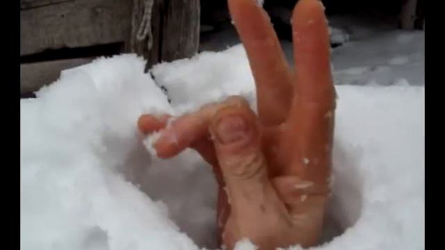 Подснежник смотреть онлайн